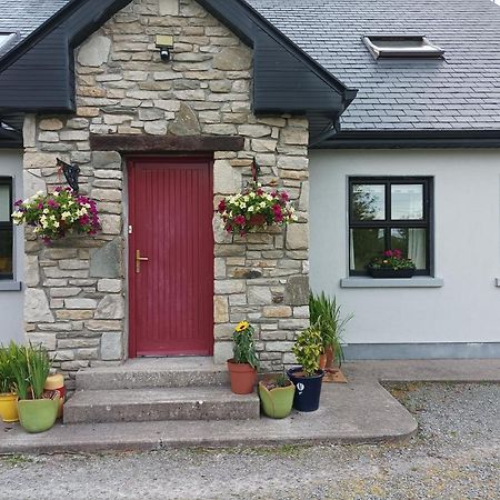 Country Lane Homestay Westport Dış mekan fotoğraf
